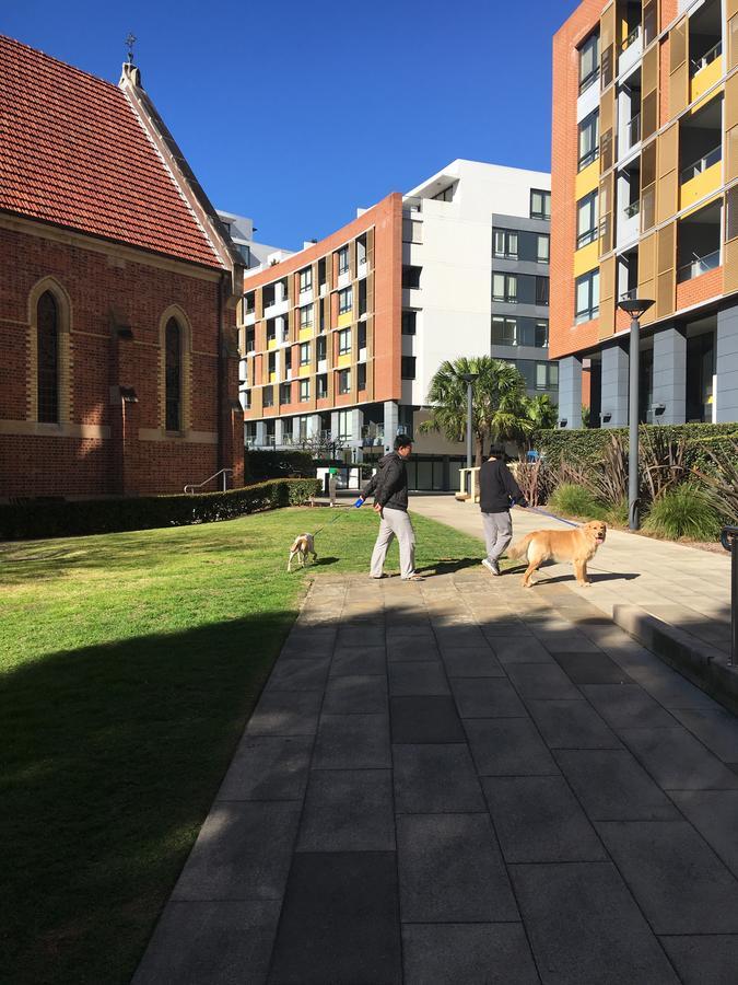 Panoramic Views In Luxurious Brand New Apartment Sidney Exterior foto
